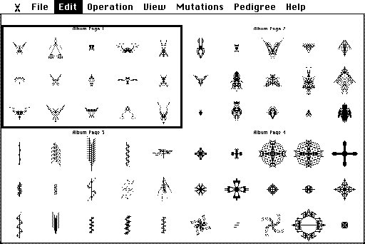 Four Album pages shown as miniatures: insects, more insects, segmented plant-like forms and radial star-like forms.