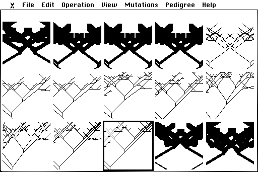 Drift Sweep: one lineage of tree-like biomorphs drawn box after box across the grid, thick forms changing into thin ones and back.
