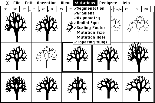 The Mutations menu: Segmentation, Gradient, Asymmetry, Radial Sym, Scaling Factor, Tapering twigs ticked; Mutation Size and Mutation Rate unticked.