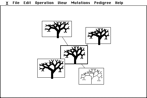 A pedigree: a tree biomorph in a double-bordered box in the middle, joined by lines to four offspring boxes around it.