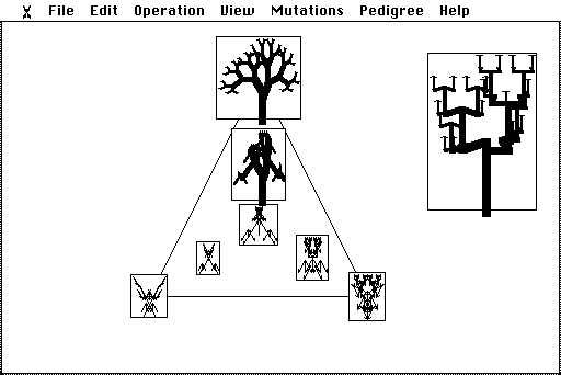 The Triangle: a tree at the top corner, an insect at the lower left, a chess-piece shape at the lower right, blends inside the triangle, and an extrapolated tree outside it.